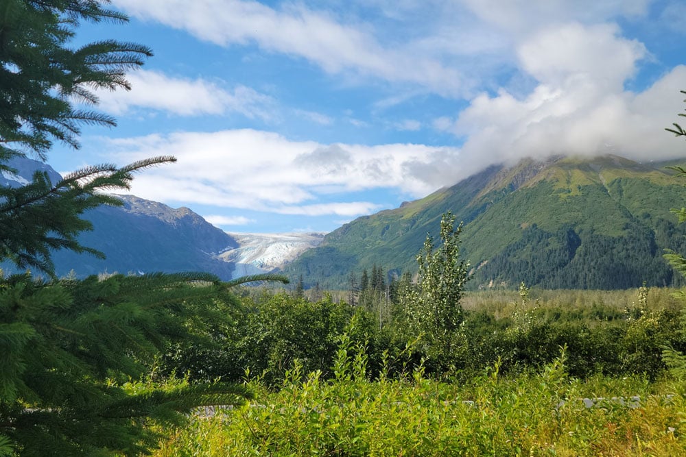 Trees and mountains